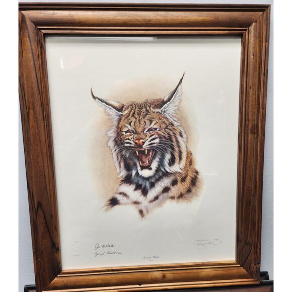 Jim Oliver Kentucky Wildcat Lithograph Plate 32 Signed Embossed Framed Art - Picture 1 of 12